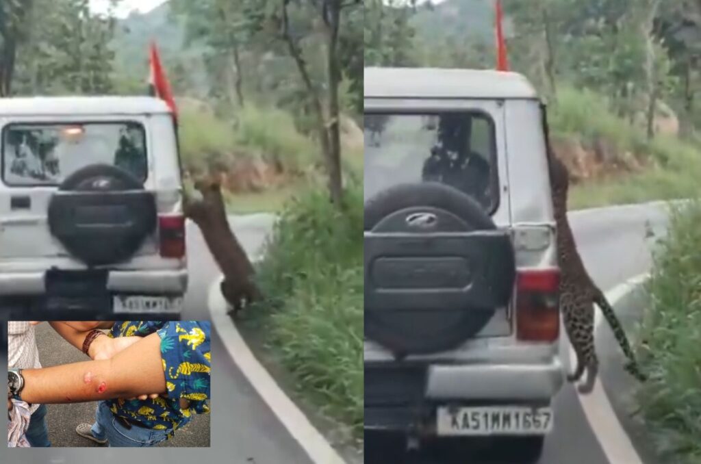 12-Year-Old Boy Attacked by Leopard During Safari at Bengaluru’s Bannerghatta Biological Park
