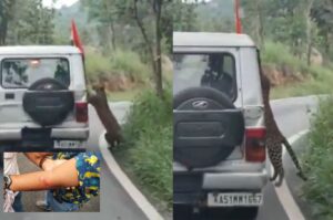 12-Year-Old Boy Attacked by Leopard During Safari at Bengaluru’s Bannerghatta Biological Park