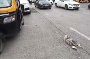 Pune: Artificial Skeleton On City Road Sparks Panic; Probe On 