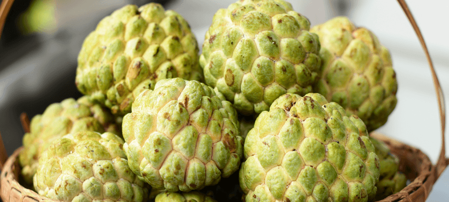 8 Amazing Health Benefits of Custard Apple You Shouldn’t Miss