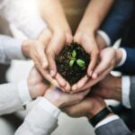 Careers After 12th: Top 5 In-Demand Green Jobs, Eligibility, and Training Paths for a Sustainable Future