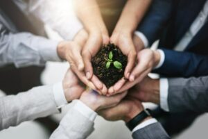 Careers After 12th: Top 5 In-Demand Green Jobs, Eligibility, and Training Paths for a Sustainable Future