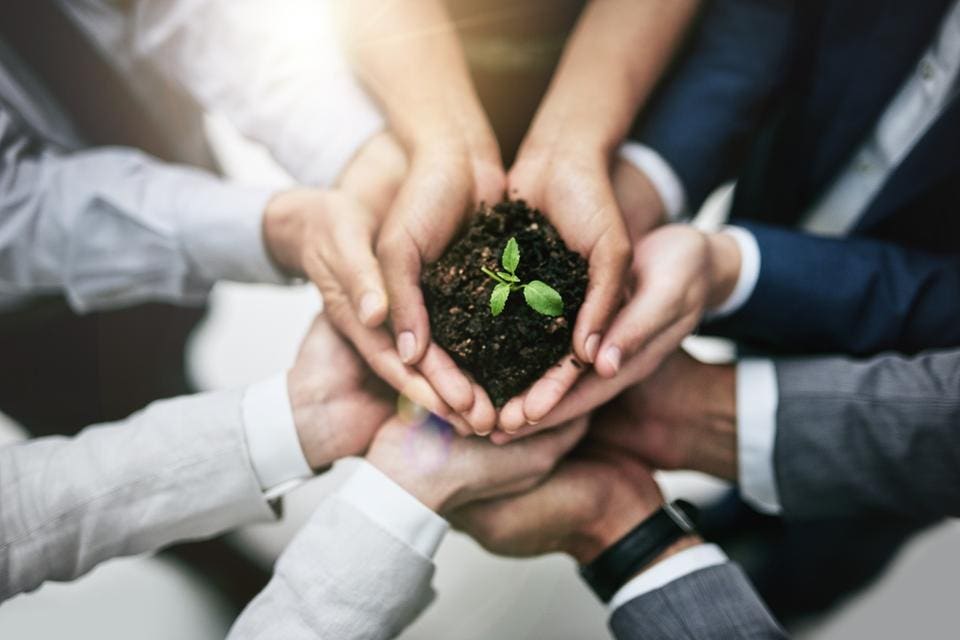 Careers After 12th: Top 5 In-Demand Green Jobs, Eligibility, and Training Paths for a Sustainable Future