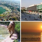 Hidden Gem Near Mumbai: Skip Lonavala—Explore This Scenic Destination in Gujarat Just 5 Hours from Vasai