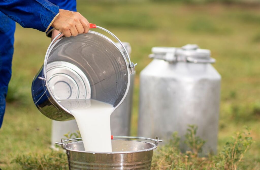 How to Know if the Milk Is Adulterated: 4 Simple Home Tests