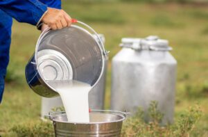 How to Know if the Milk Is Adulterated: 4 Simple Home Tests
