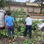 Pune: Fire Brigade Clears 10 Fallen Trees After Heavy Rain In Pimpri Chinchwad