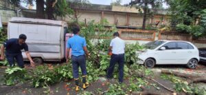 Pune: Fire Brigade Clears 10 Fallen Trees After Heavy Rain In Pimpri Chinchwad