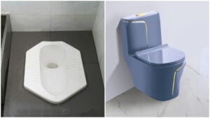 Choosing Between Sitting and Squatting Toilets: How Toilet Posture Affects Your Gut and Health