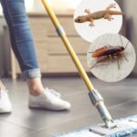 Keep Lizards and Cockroaches Out: Natural Ingredients to Add to Your Mop Water