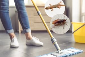 Keep Lizards and Cockroaches Out: Natural Ingredients to Add to Your Mop Water