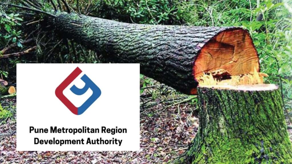 Pune: PMRDA Files Cases Against 8 Individuals For Unauthorized Tree Cutting, Warns Developers To Seek Permission
