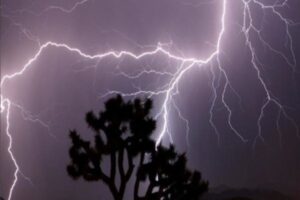 IMD Issues Heavy Rainfall Warning for 20 States and UTs on September 17