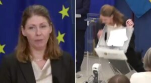 Sweden’s Newly Appointed Health Minister Elisabet Lann Collapses During First Press Conference