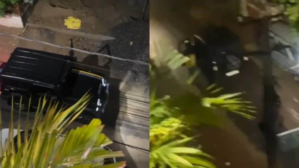 Watch: Customer Shocked as Blinkit Delivery Agent Arrives in Mahindra Thar, Video Goes Viral