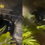 Watch: Customer Shocked as Blinkit Delivery Agent Arrives in Mahindra Thar, Video Goes Viral