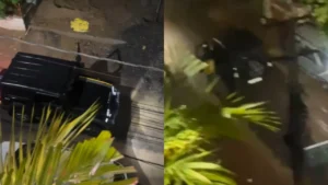 Watch: Customer Shocked as Blinkit Delivery Agent Arrives in Mahindra Thar, Video Goes Viral