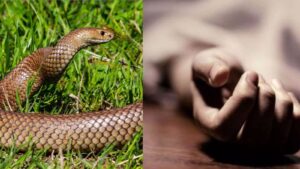 Tragic Death: Four-Year-Old Girl Dies After Snake Bite, Family Alleges Delayed Medical Care
