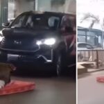 Viral Video: Man Sleeps on Mattress in the Middle of Busy Road, Brings Traffic to a Halt—Netizens Slam Police Response