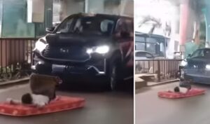 Viral Video: Man Sleeps on Mattress in the Middle of Busy Road, Brings Traffic to a Halt—Netizens Slam Police Response