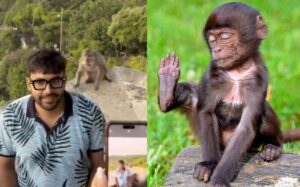 Viral Video: Monkey Snatches Indian Tourist’s Sunglasses in Bali; Netizens Can’t Stop Laughing at What Happened Next