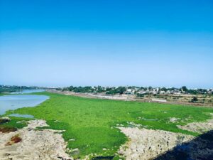 National Green Tribunal Addresses Godavari River Pollution, Directs Authorities to File Reports