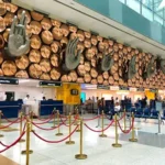Afghan Teen Hides in Plane’s Landing Gear, Lands in Delhi After Two-Hour Flight