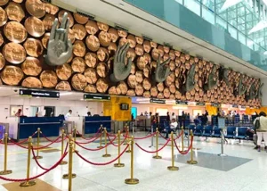 Afghan Teen Hides in Plane’s Landing Gear, Lands in Delhi After Two-Hour Flight