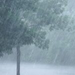 Weather Alert: Heavy Rain and Thunderstorm Expected in 19 Maharashtra Districts on September 24