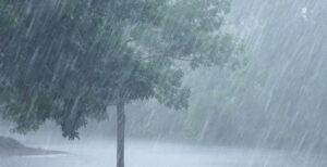 Maharashtra Weather Update: IMD Issues Yellow Alert for Heavy Rain and Thunderstorms in 16 Districts on September 11