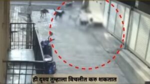 Pune: CCTV Captures Stray Dog Attack On 3 Year Old Girl Playing In Vadgaon Sheri; Youths Rescue Child