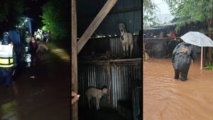Pune: PMRDA, PDRF Rescue 70 People As Flood Waters Enter Theur Village 