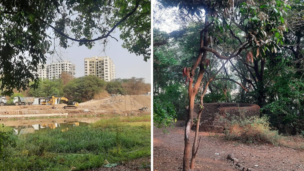 Pune: Forest Dept Seeks Revisions In PMC, PCMC River Projects To Safeguard Ram-Mula Devrai