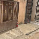 Why Many Residents Are Hanging Red Bottles Outside Their Homes to Ward Off Stray Dogs