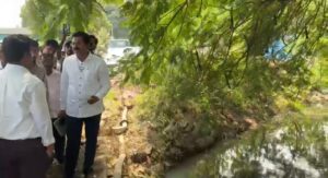 Pune: Shapoorji Pallonji's Joyville Housing Project In Manjari Fined ₹10 Lakh For Releasing Sewage Into Natural Stream