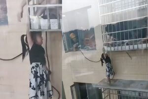Viral Video: Here’s How a 4-Year-Old Survived a 20th-Floor Fall in ChinaViral Video: Here’s How a 4-Year-Old Survived a 20th-Floor Fall in China