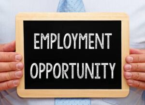 Recruitment For Clerk-Typist Posts In Sainik Welfare Department To Be Conducted Online; Applications Open For Ex-Servicemen