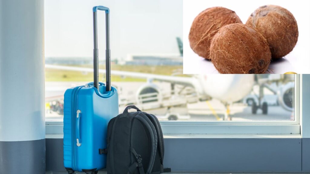 Why You Shouldn’t Pack a Coconut When Flying — And What Foods You Can Carry Instead