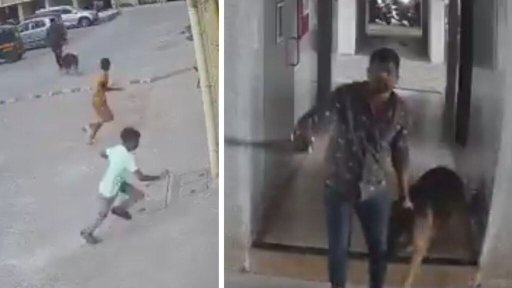 German Shepherd Attacks Young Boy in Pimpri-Chinchwad; Shocking Video Sparks Outrage