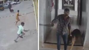 German Shepherd Attacks Young Boy in Pimpri-Chinchwad; Shocking Video Sparks Outrage