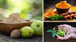 Giloy to Moringa: Powerful Indian Herbs for Better Health