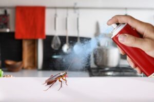 Say Goodbye to Cockroaches for Good: One Simple Natural Spray and Smart Habits That Actually Work