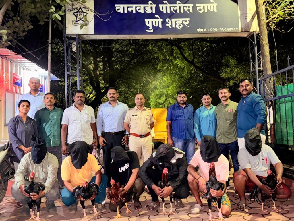 Operation Kukdookoo In Pune: Wanawadi Police Raid Illegal Cockfight Ring, Six Arrested In Dramatic Crackdown