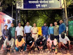 Operation Kukdookoo In Pune: Wanawadi Police Raid Illegal Cockfight Ring, Six Arrested In Dramatic Crackdown