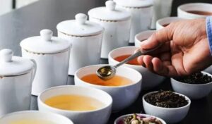 Sip Into A New Career: NCVET-Approved Tea Sommelier & Tasting Courses Launched  