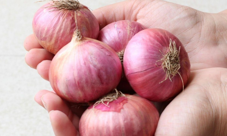 Tired of Crying While Cutting Onions? These Kitchen Tricks Actually Work