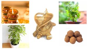 3 Things to Bring Home Before Diwali to Improve Vastu and Invite Goddess Lakshmi’s Blessings