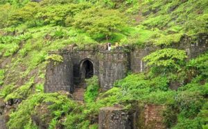 Pune: Liquor Bottle Found In Car Heading To Sinhagad Fort; Authorities Raise Concern Over Repeated Violations