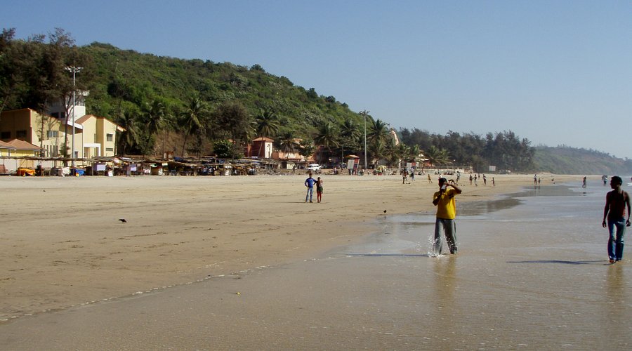 Jellyfish Invasion Causes Discomfort for Tourists at Ganpatipule Beach