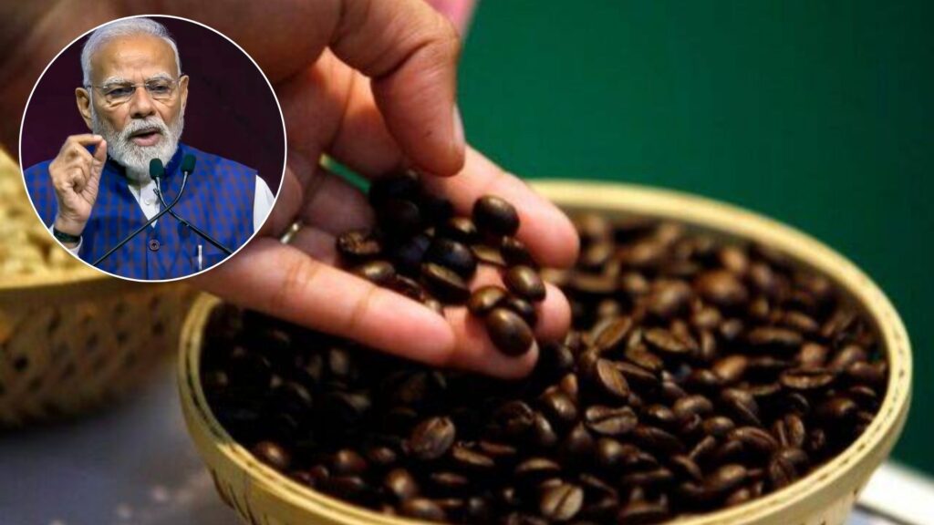 From The Hills Of Coorg To The Fields Of Koraput, India’s Coffee Story Brews Global Fame